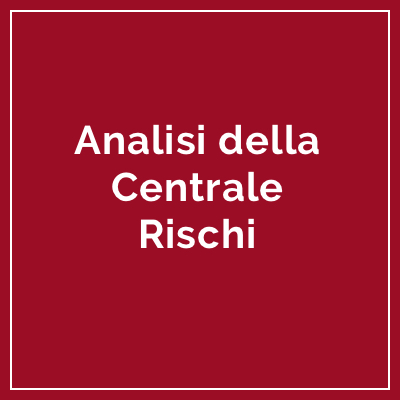 Icona Analisi della Centrale Rischi