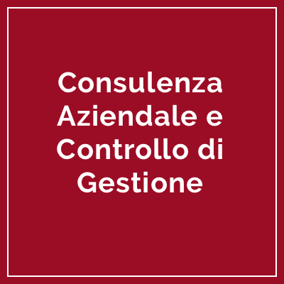 Icona Consulenza Aziendale e Controllo di Gestione