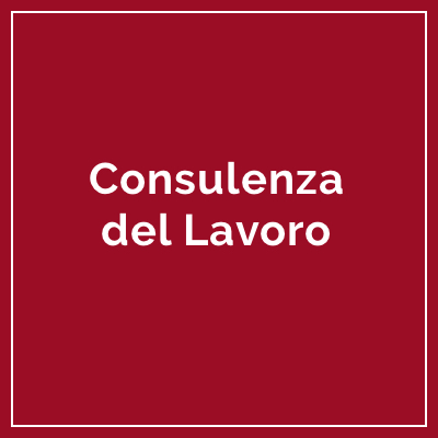 Icona Consulenza del lavoro