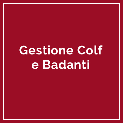 Icona Gestione colf e badanti